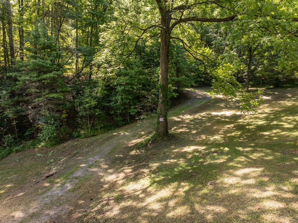 2039 Crowe Road Murphy, NC 28906 - Photo 5 of 36 Gallery Image 5