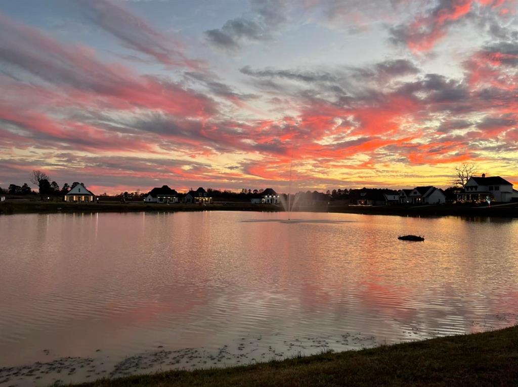 342 Rosedown Lane Stonewall, LA 71078 - Photo 32 of 33