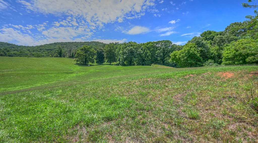 0 Crowe Road Murphy, NC 28906 - Photo 18 of 52 Gallery Image 18