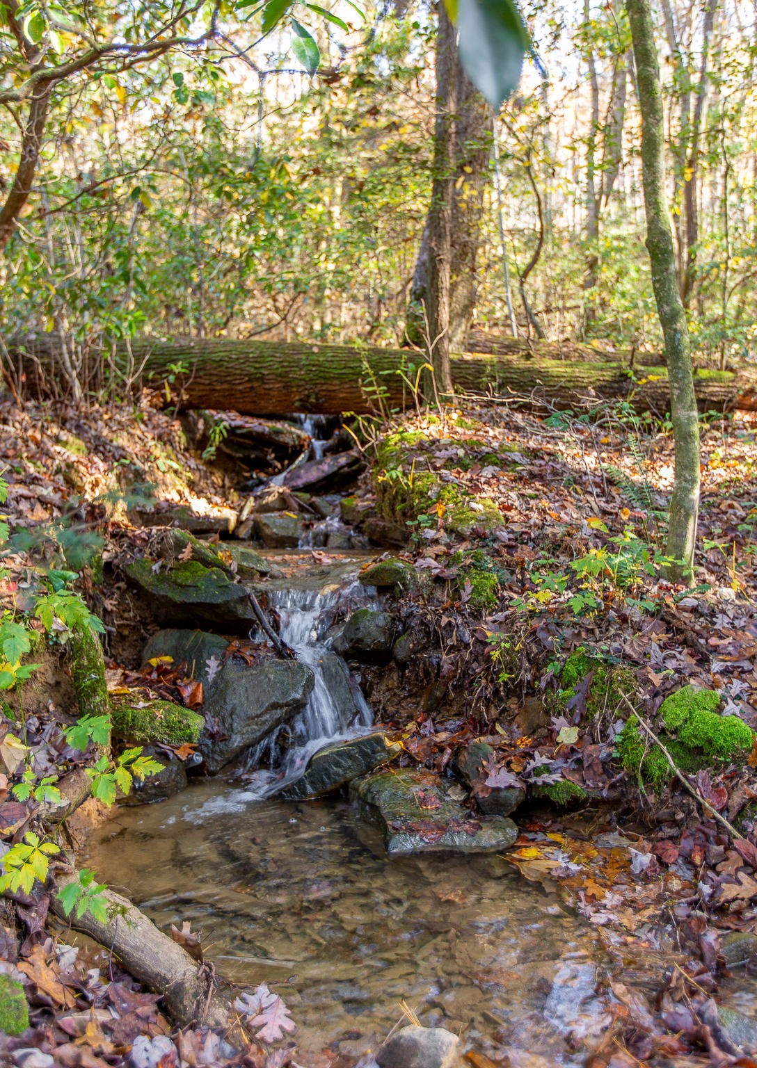 6401 Sawyer Road Signal Mountain, TN 37377 - Photo 59 of 60 Gallery Image 59