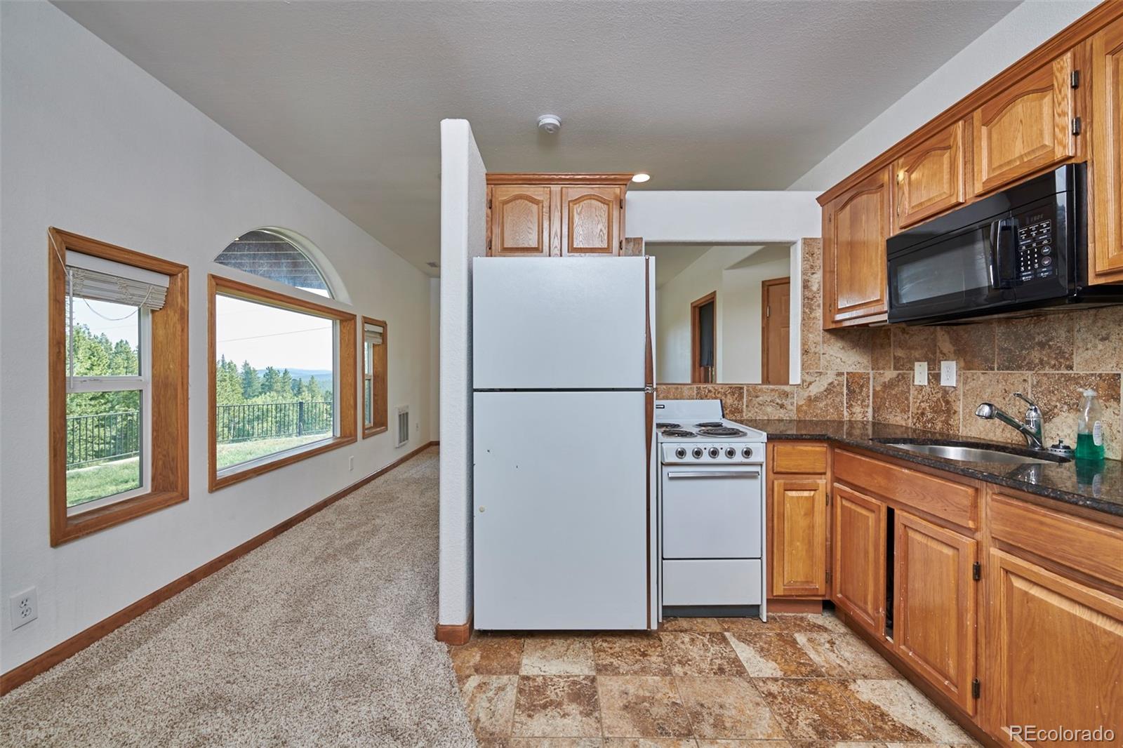 586 Lower Travis Gulch Road Black Hawk, CO 80422 - Photo 21 of 31 Gallery Image 21