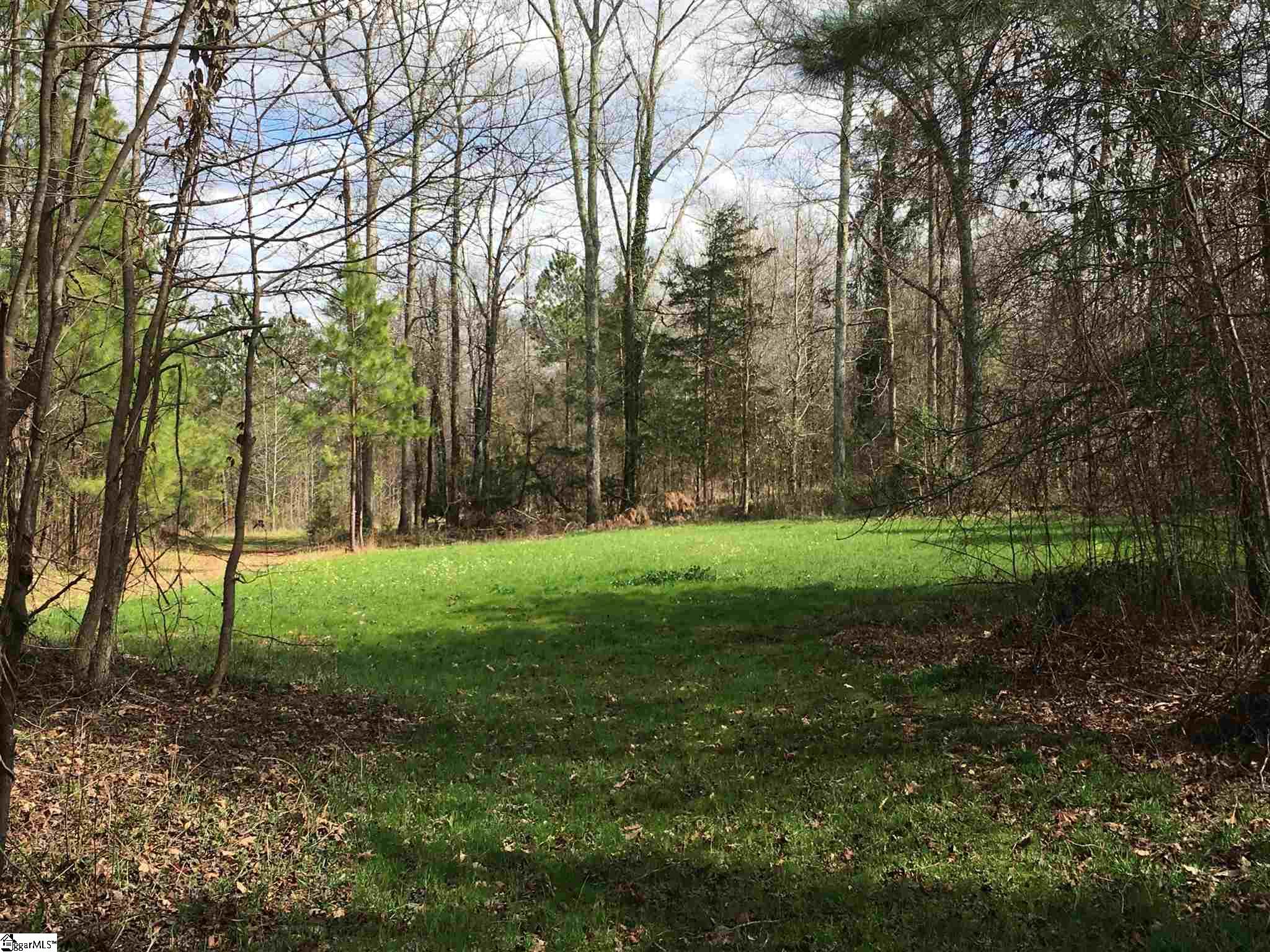 0 St Paul Road Easley, SC 29642 - Photo 2 of 30