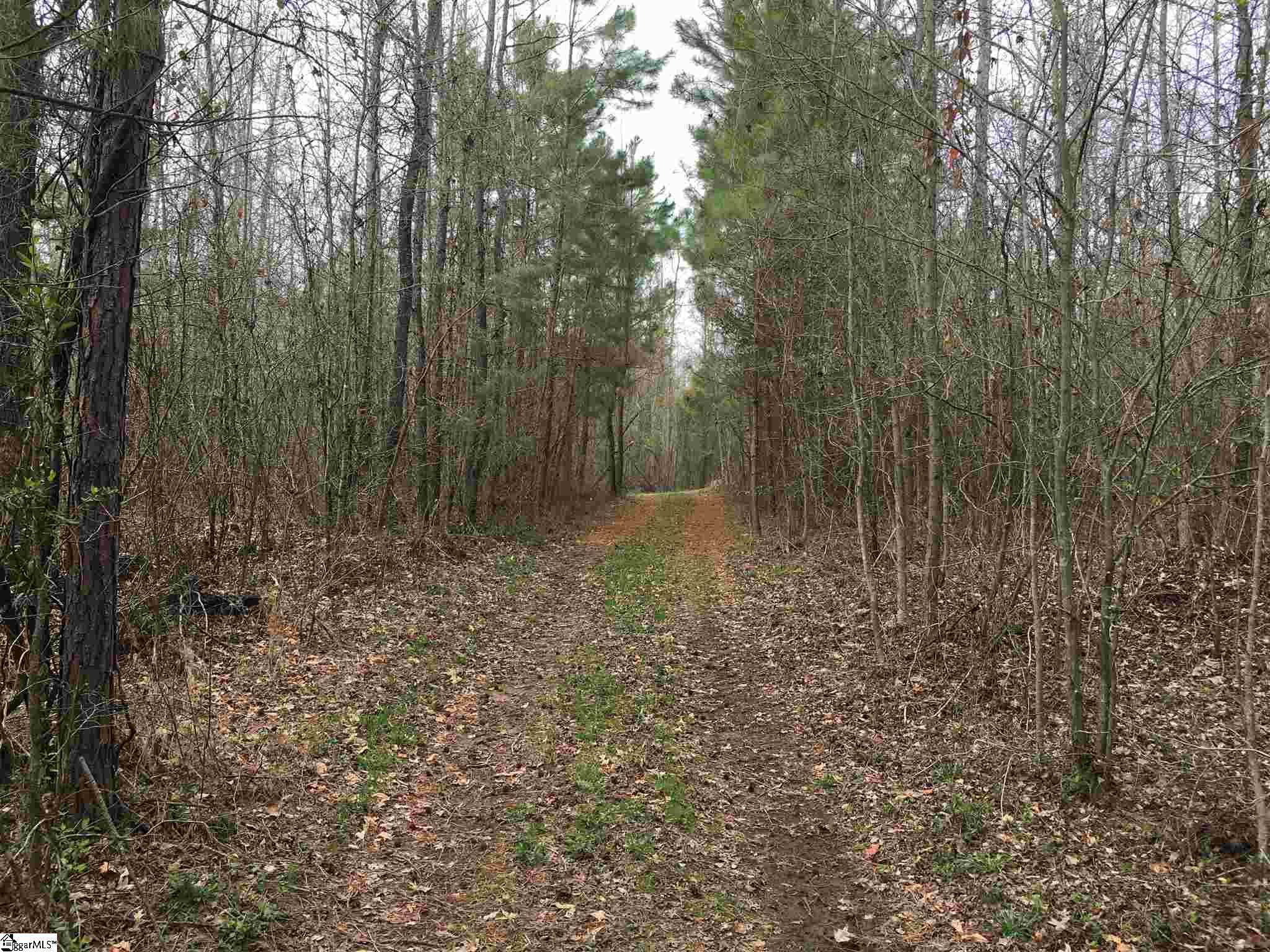 0 St Paul Road Easley, SC 29642 - Photo 14 of 30