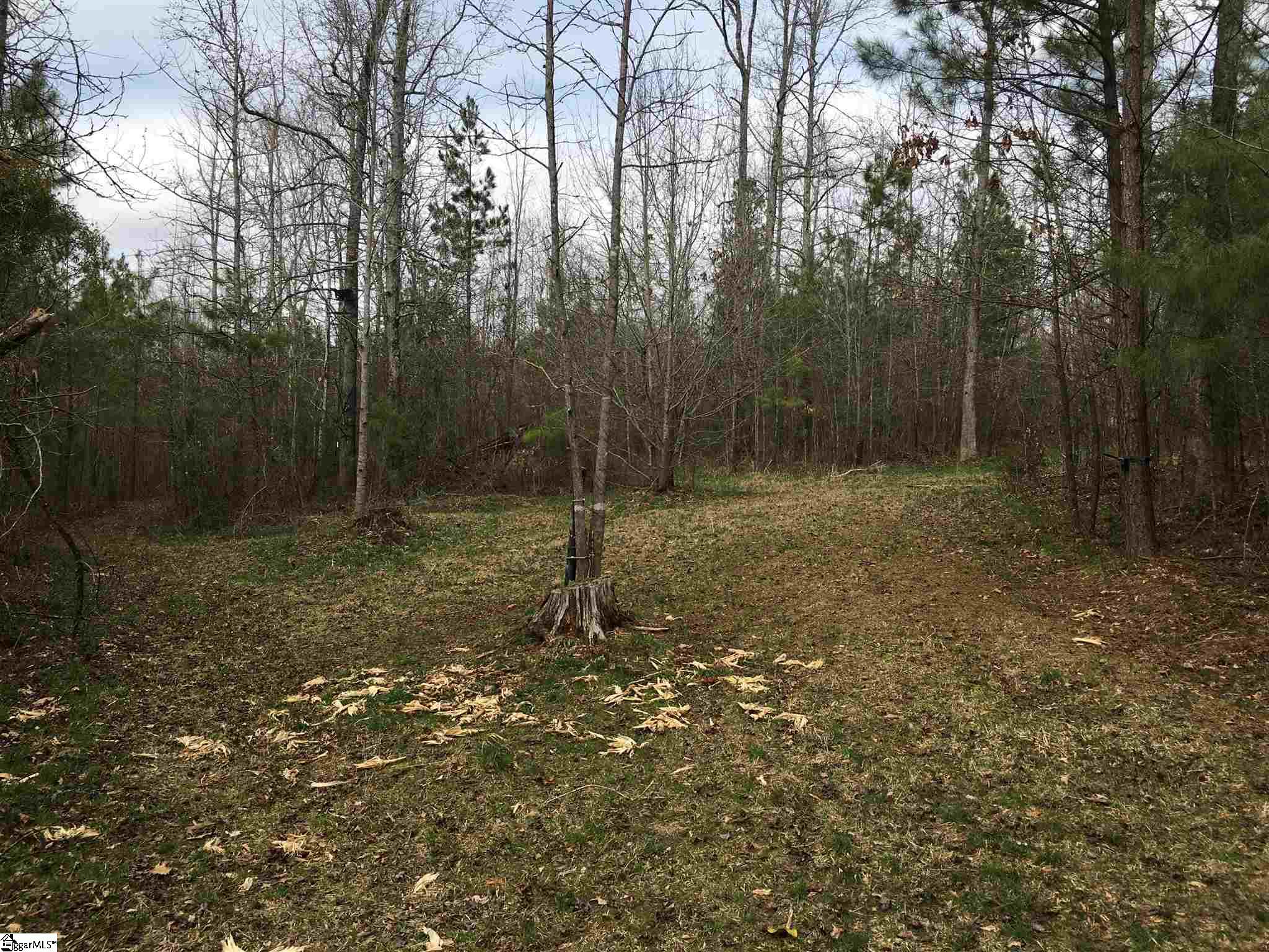 0 St Paul Road Easley, SC 29642 - Photo 15 of 30