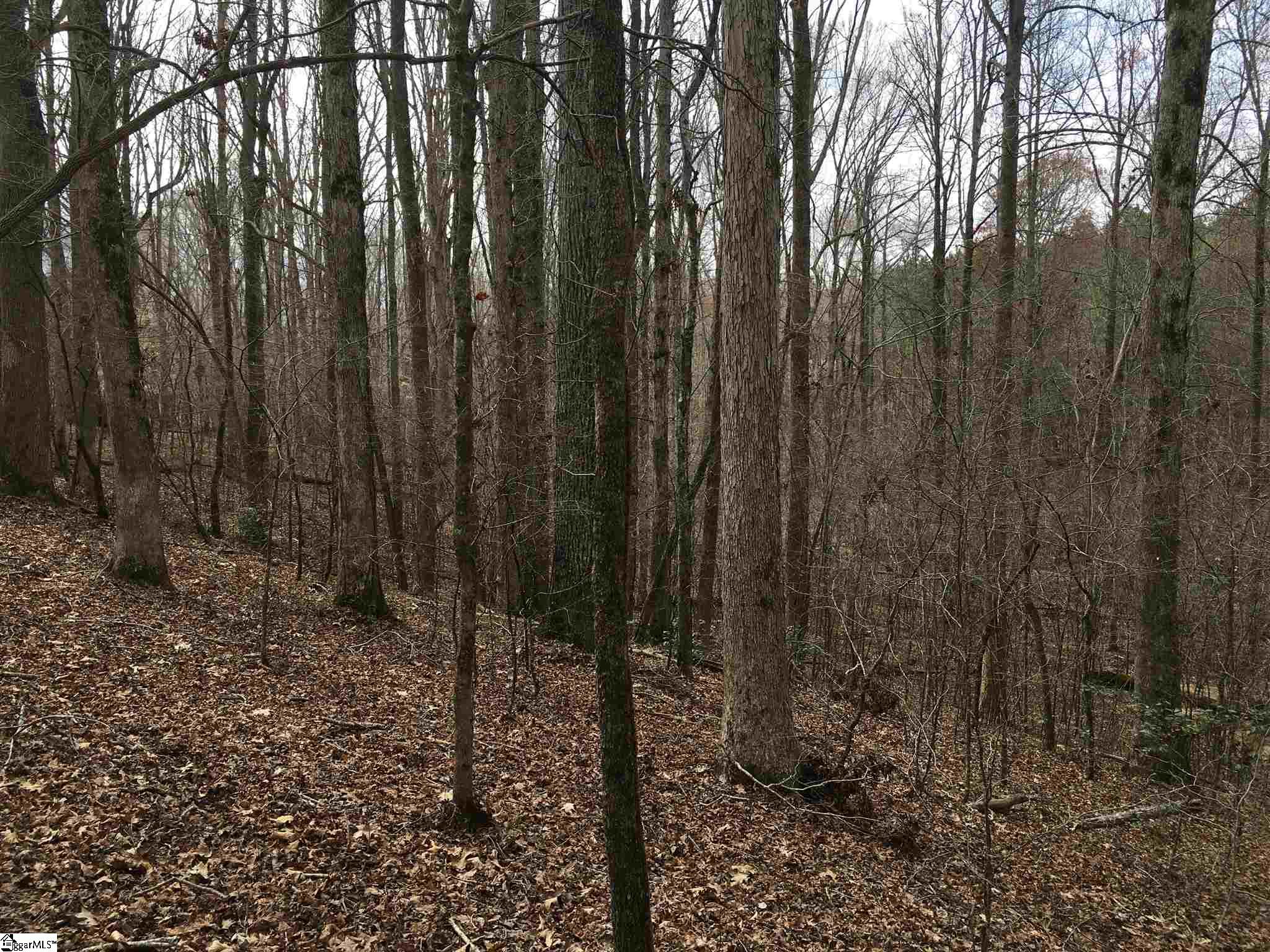 0 St Paul Road Easley, SC 29642 - Photo 22 of 30