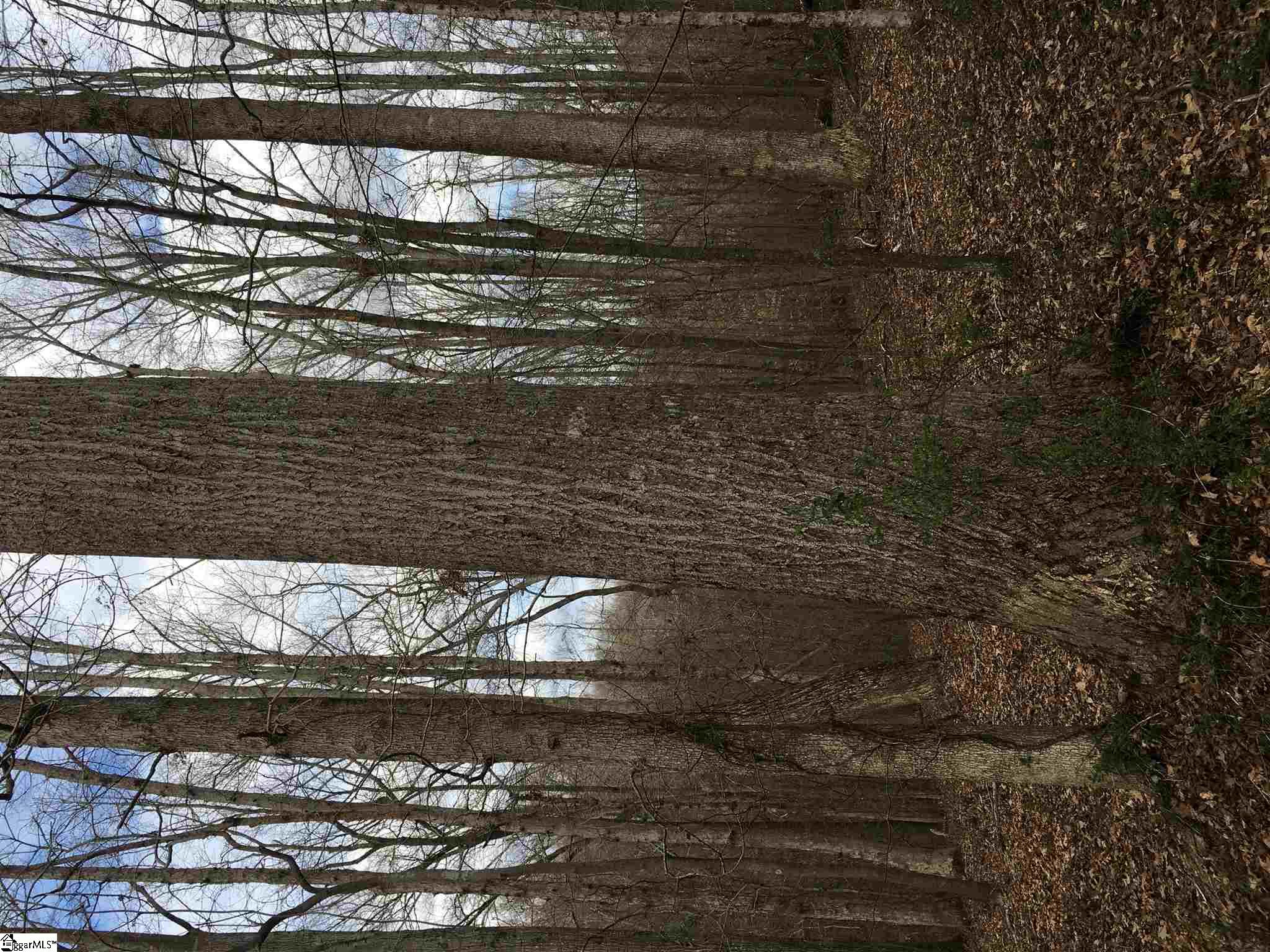 0 St Paul Road Easley, SC 29642 - Photo 24 of 30
