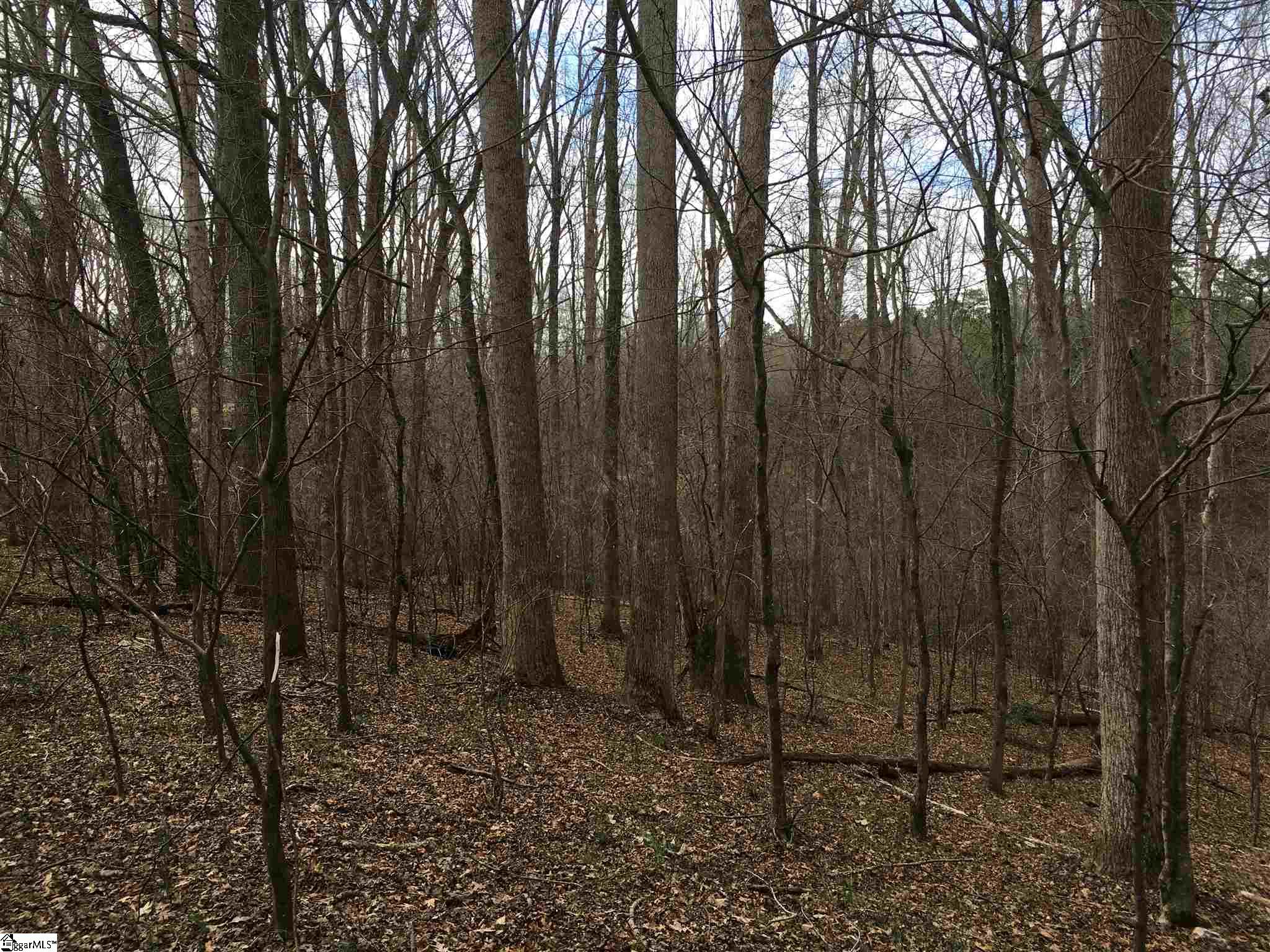 0 St Paul Road Easley, SC 29642 - Photo 25 of 30