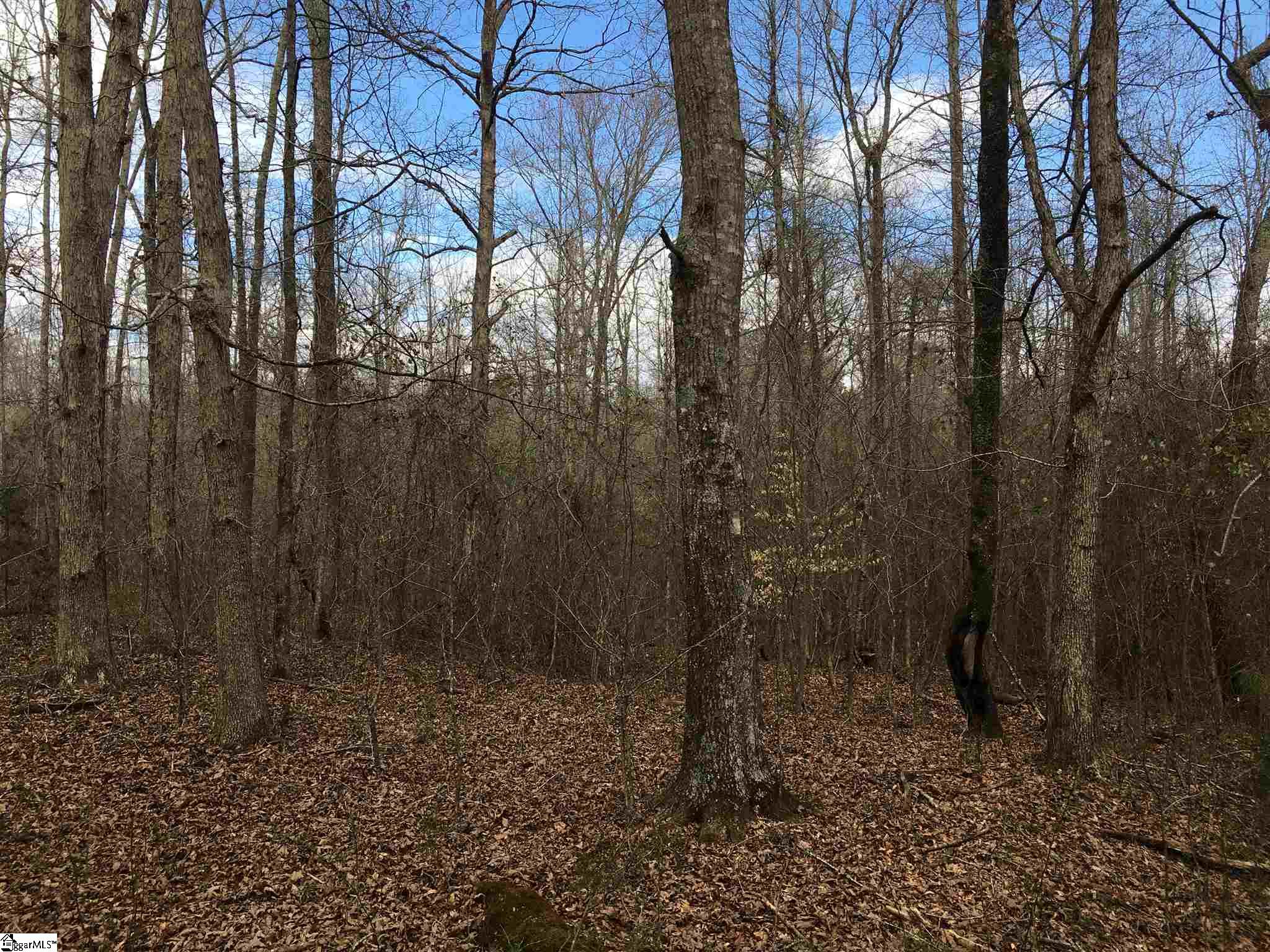 0 St Paul Road Easley, SC 29642 - Photo 27 of 30