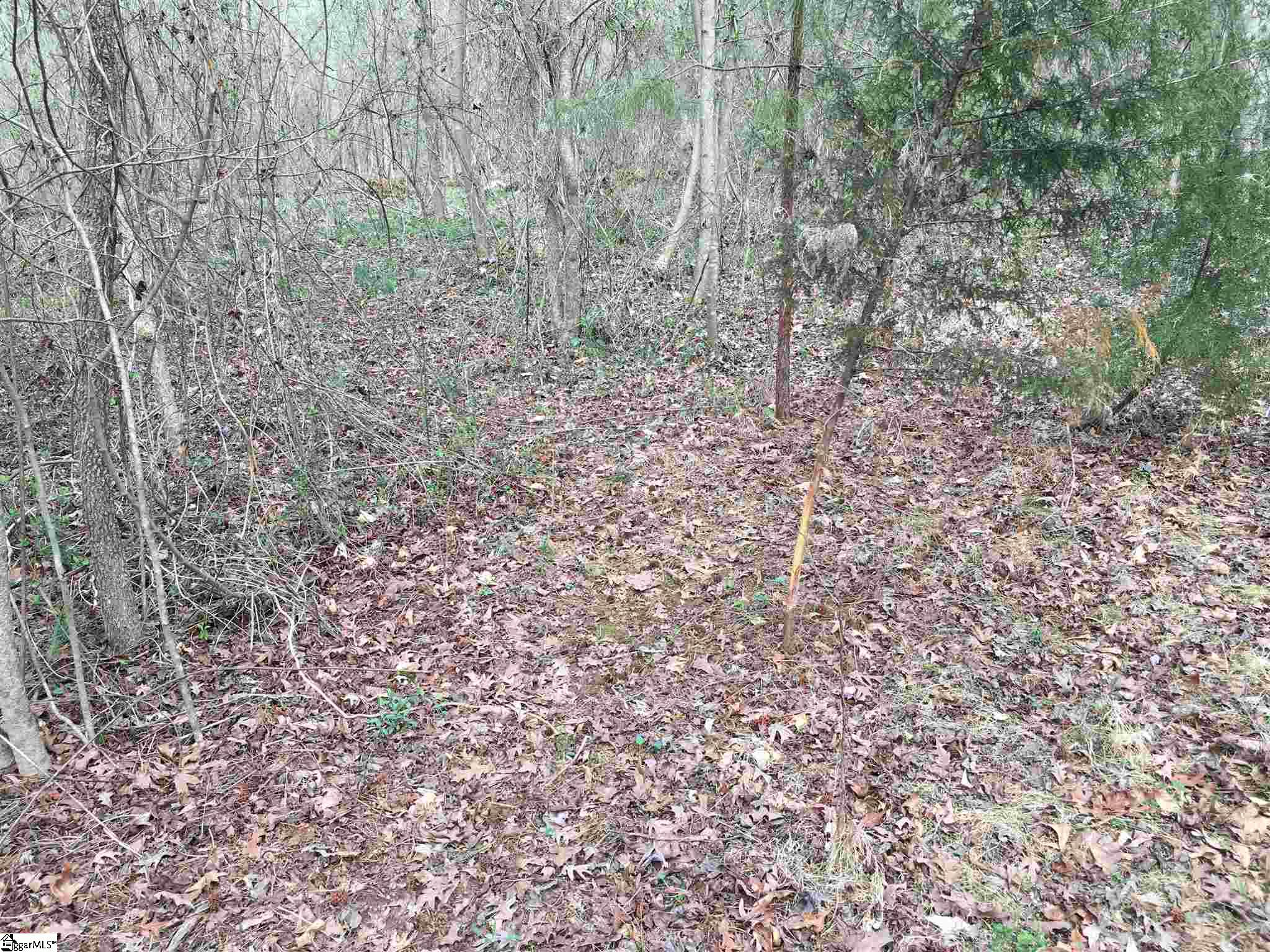 0 St Paul Road Easley, SC 29642 - Photo 29 of 30