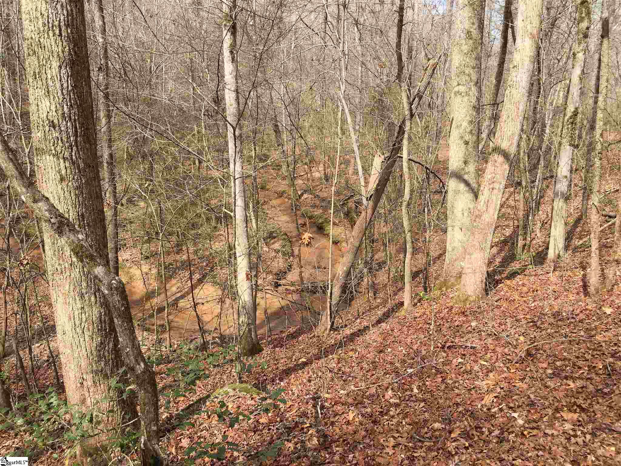 0 St Paul Road Easley, SC 29642 - Photo 4 of 30