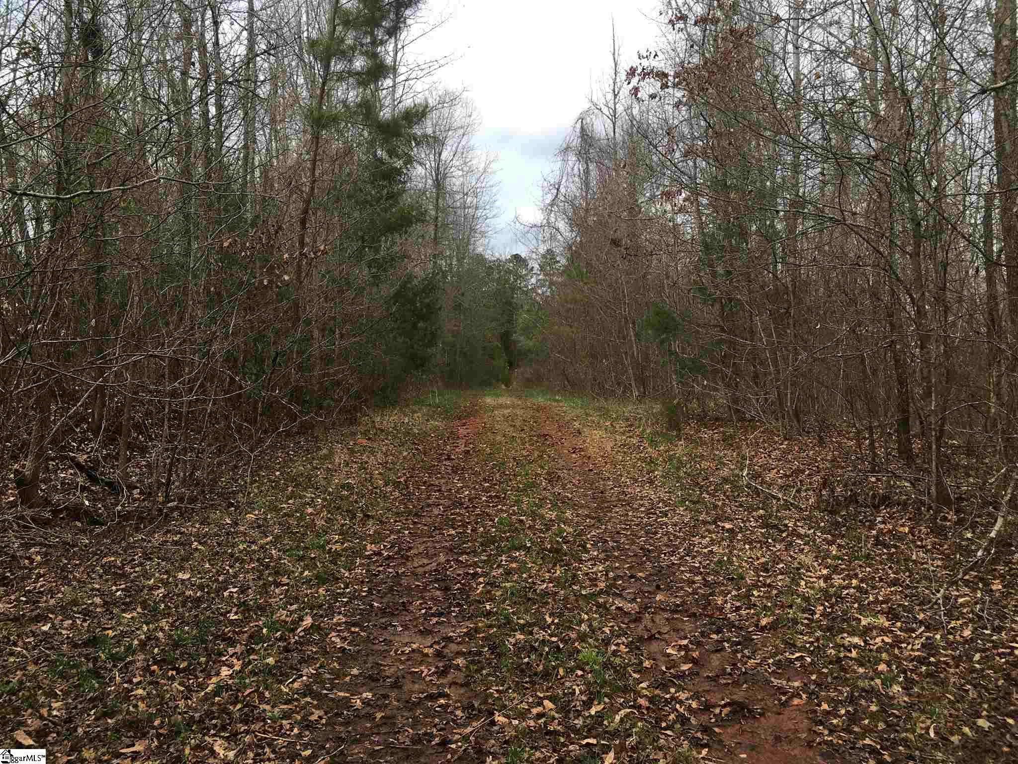 0 St Paul Road Easley, SC 29642 - Photo 6 of 30