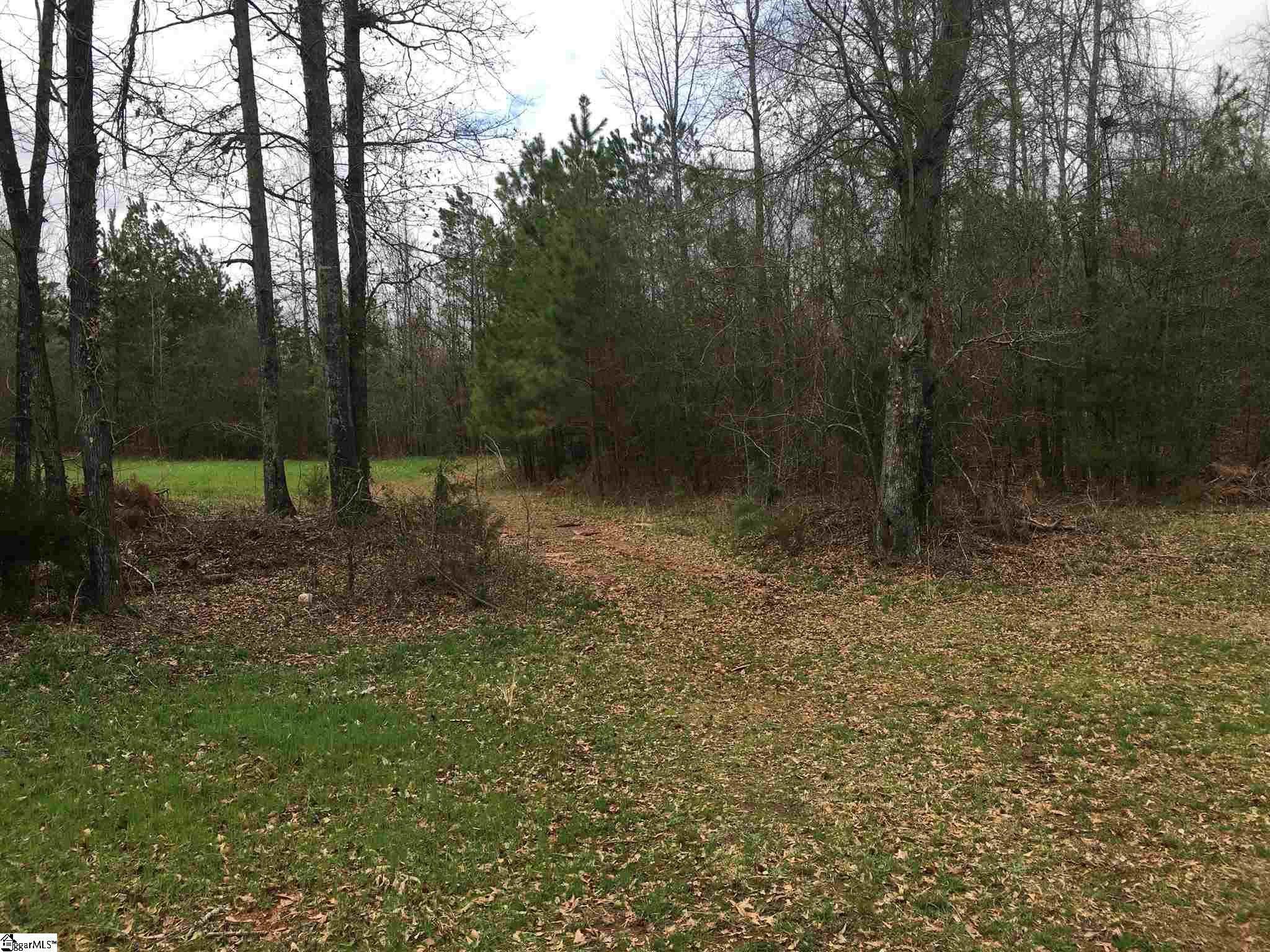 0 St Paul Road Easley, SC 29642 - Photo 10 of 30