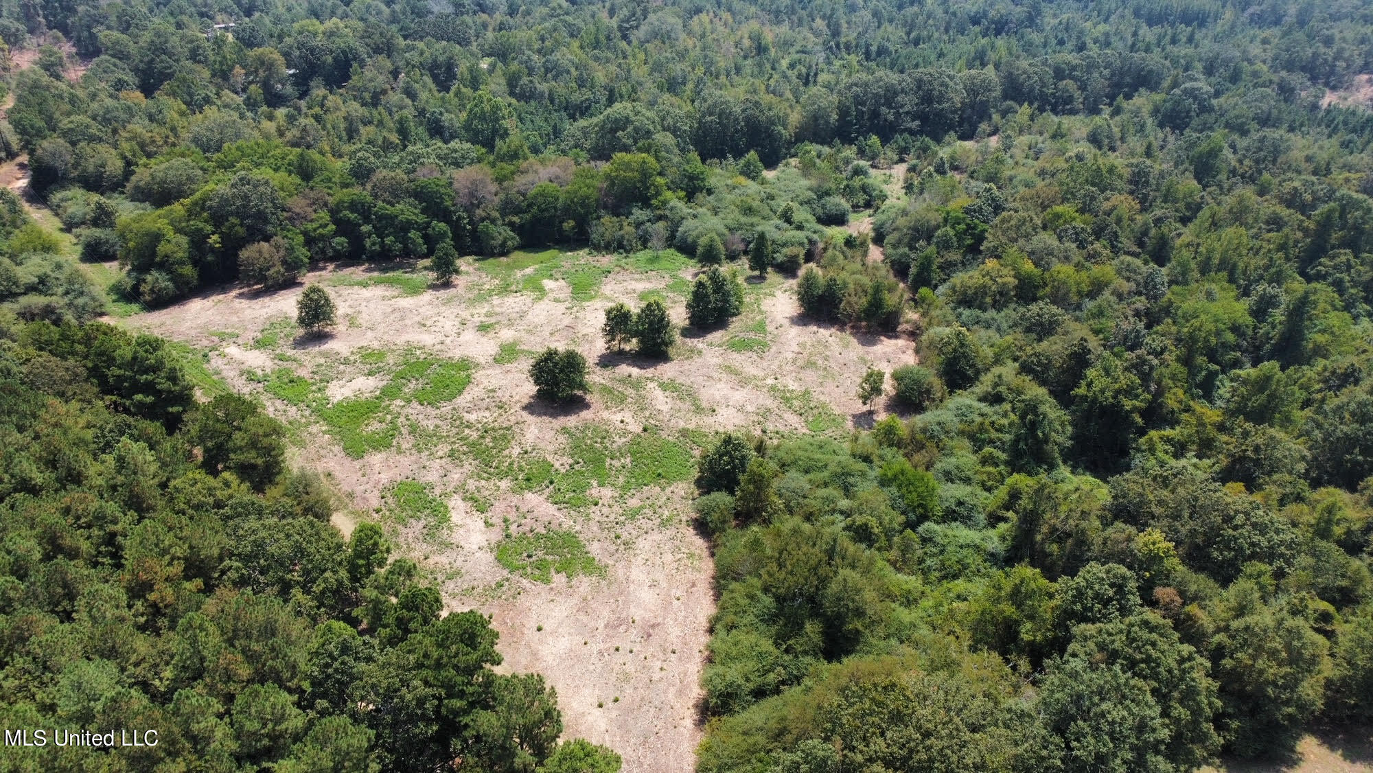 1 Edwards Road Carthage, MS 39051 - Photo 18 of 28 48
