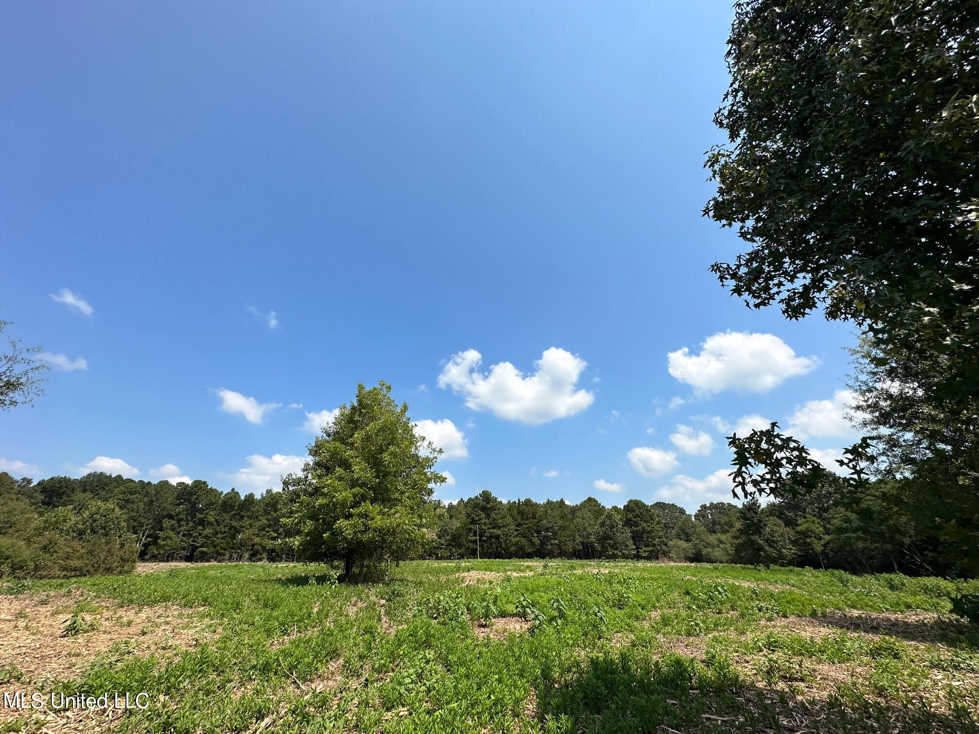 1 Edwards Road Carthage, MS 39051 - Photo 7 of 28 34