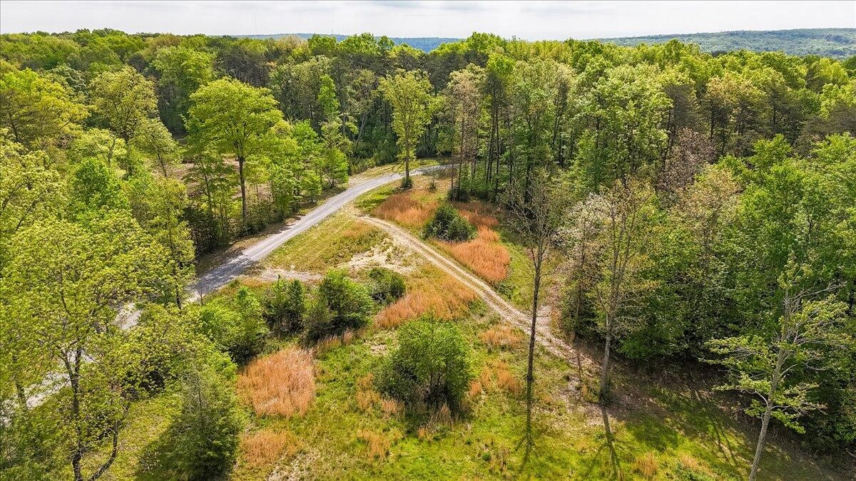 8993 Big Bend Road Signal Mountain, TN 37377 - Photo 22 of 30 Gallery Image 22