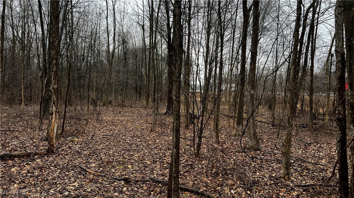 Braceville Robinson Rd Road Newton Falls, OH 44444 - Photo 24 of 50 Gallery Image 24