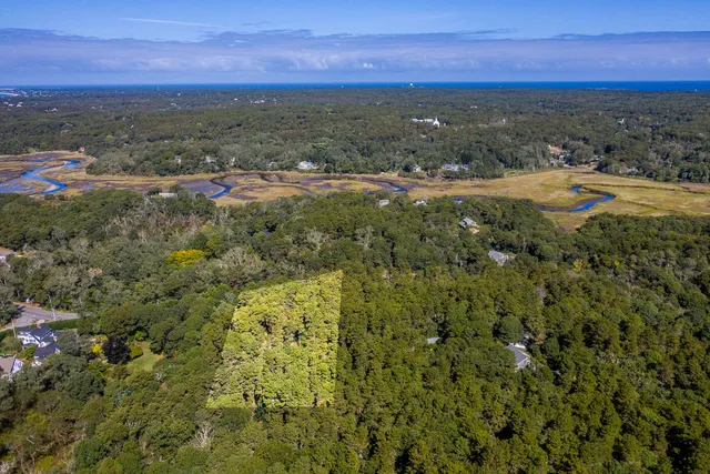 an aerial view of residential houses with outdoor space and trees