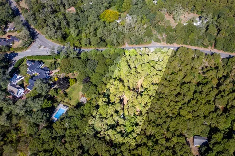 a view of a yard with a tree