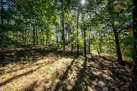 a view of swimming pool