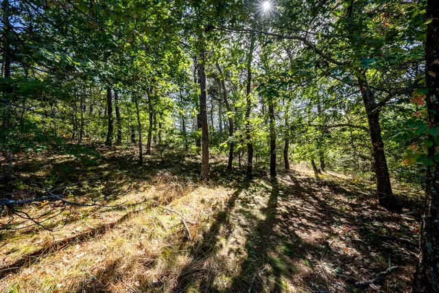 a view of swimming pool