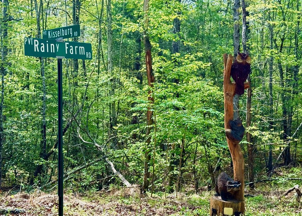 59 Rainy Farm Road Murphy, NC 28906 - Photo 3 of 14