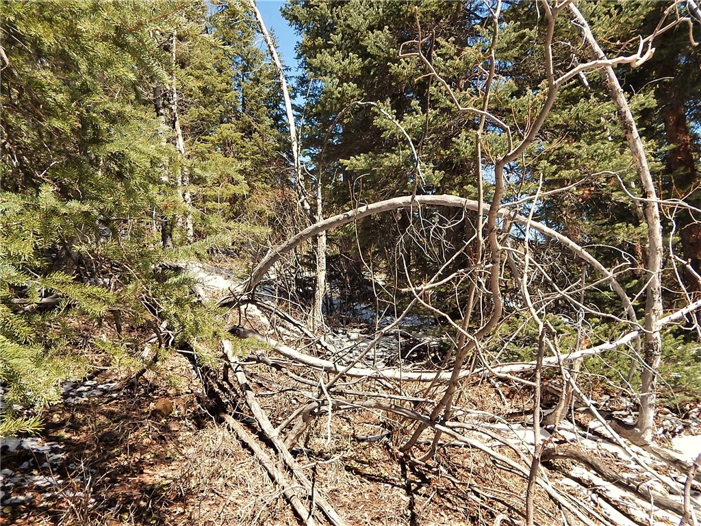 589 Mine Dump Road Alma, CO 80420 - Photo 14 of 26 Gallery Image 14