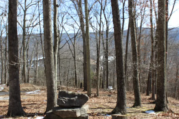 a view of a backyard with green space