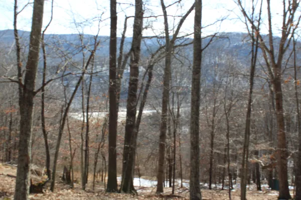 a view of a backyard of the house
