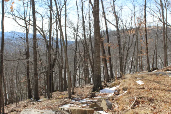a large space with trees in the background