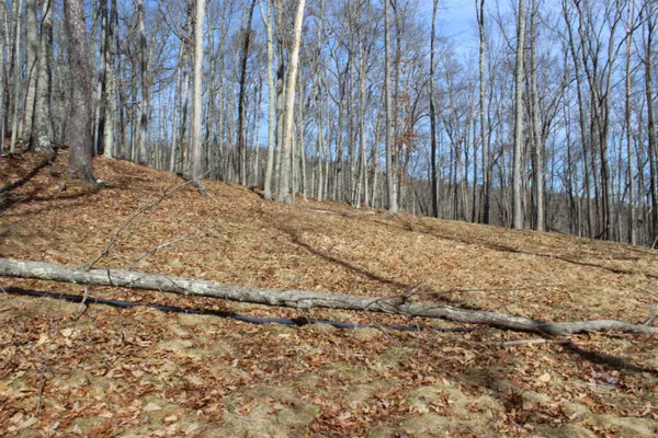 a view of a backyard of the house