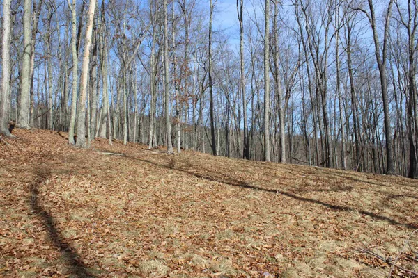 a view of a backyard of the house