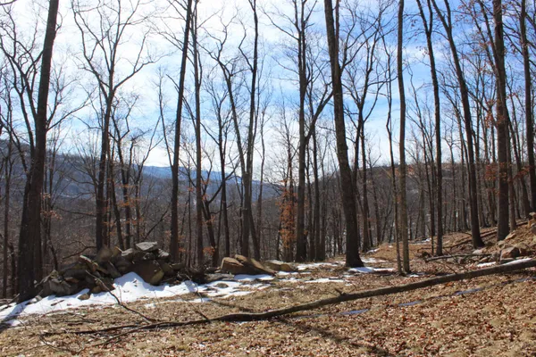 a view of wooden fence with trees