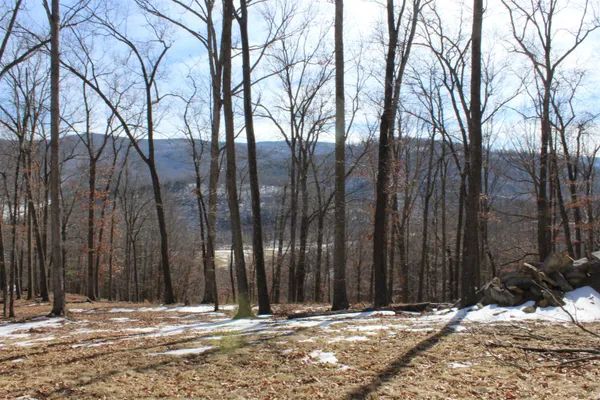 a view of a backyard of the house