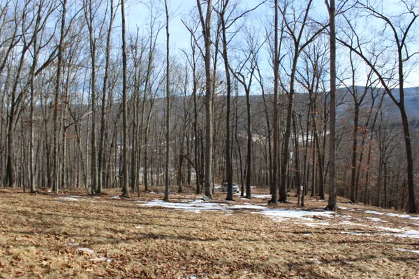 a view of a yard with wooden fence