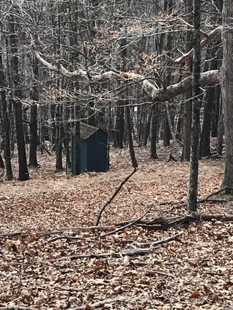 $75,000 | Tbd Dogwood Lane, Monterey, VA 24465