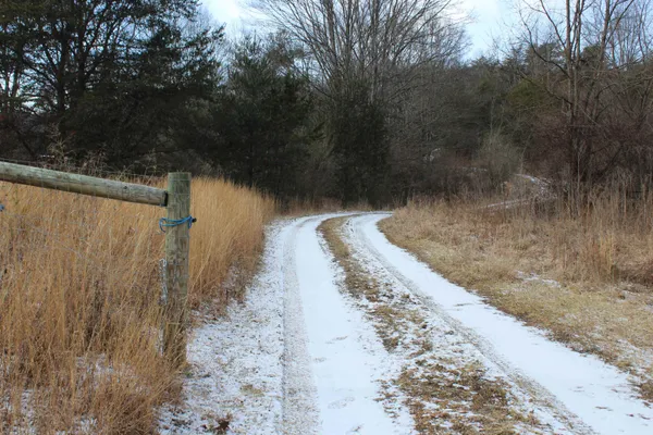 a view of wooden fence under a large tree