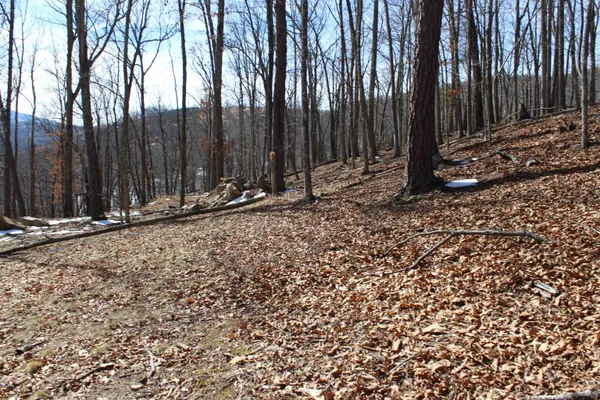 a view of wooden fence