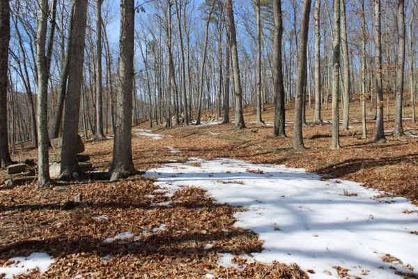 a view of a backyard of the house