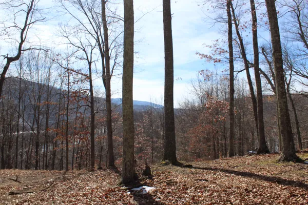 a view of a building with snow on the road