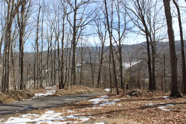 a view of a yard with trees