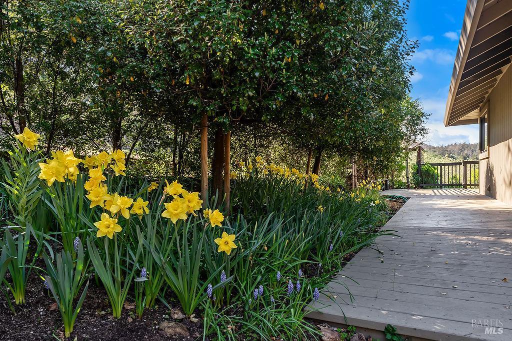 549 Catherine Court Santa Rosa, CA 95409 - Photo 54 of 58