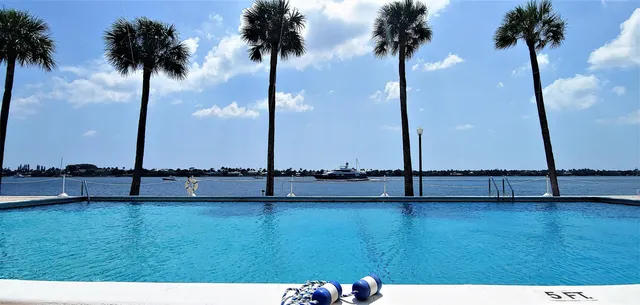 a view of a ocean with palm trees