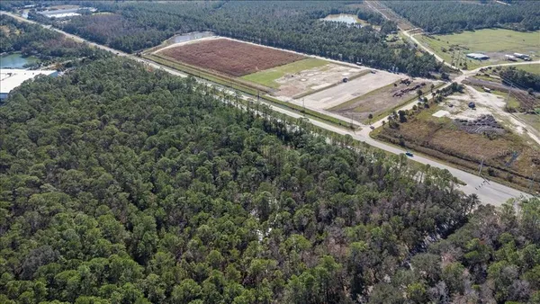 a view of yard along with trees