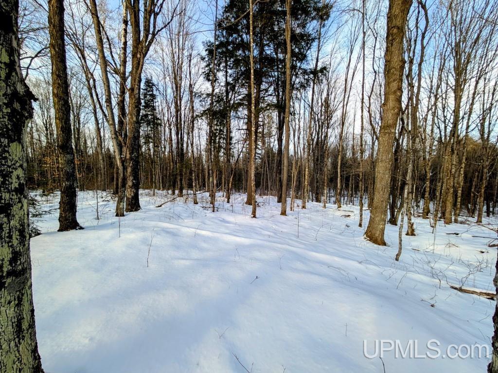 4500 Rd Watersmeet Mi 49969 Road Trout Creek, MI 49967 - Photo 4 of 17