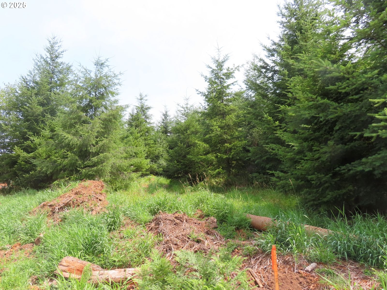 Mill Creek Lane, Unit B Longview, WA 98632 - Photo 11 of 26 a view of a lake with green space
