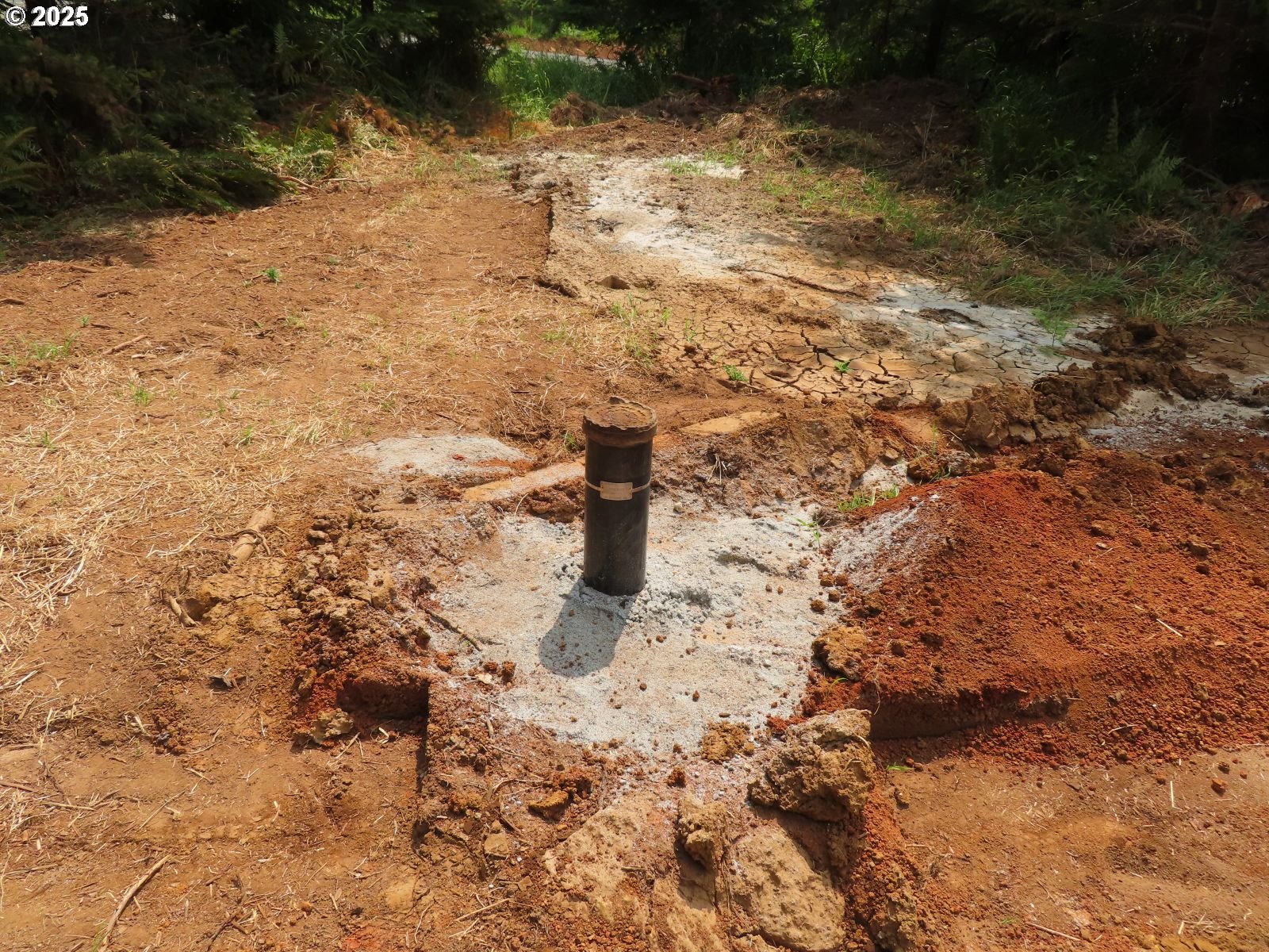 Mill Creek Lane, Unit B Longview, WA 98632 - Photo 14 of 26 a view of a yard with trees