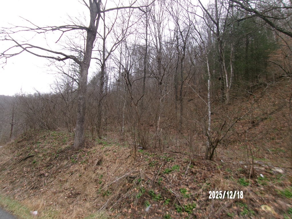 3675 Anawalt Ridge Road Anawalt, WV 24808 - Photo 6 of 9 Gallery Image 6