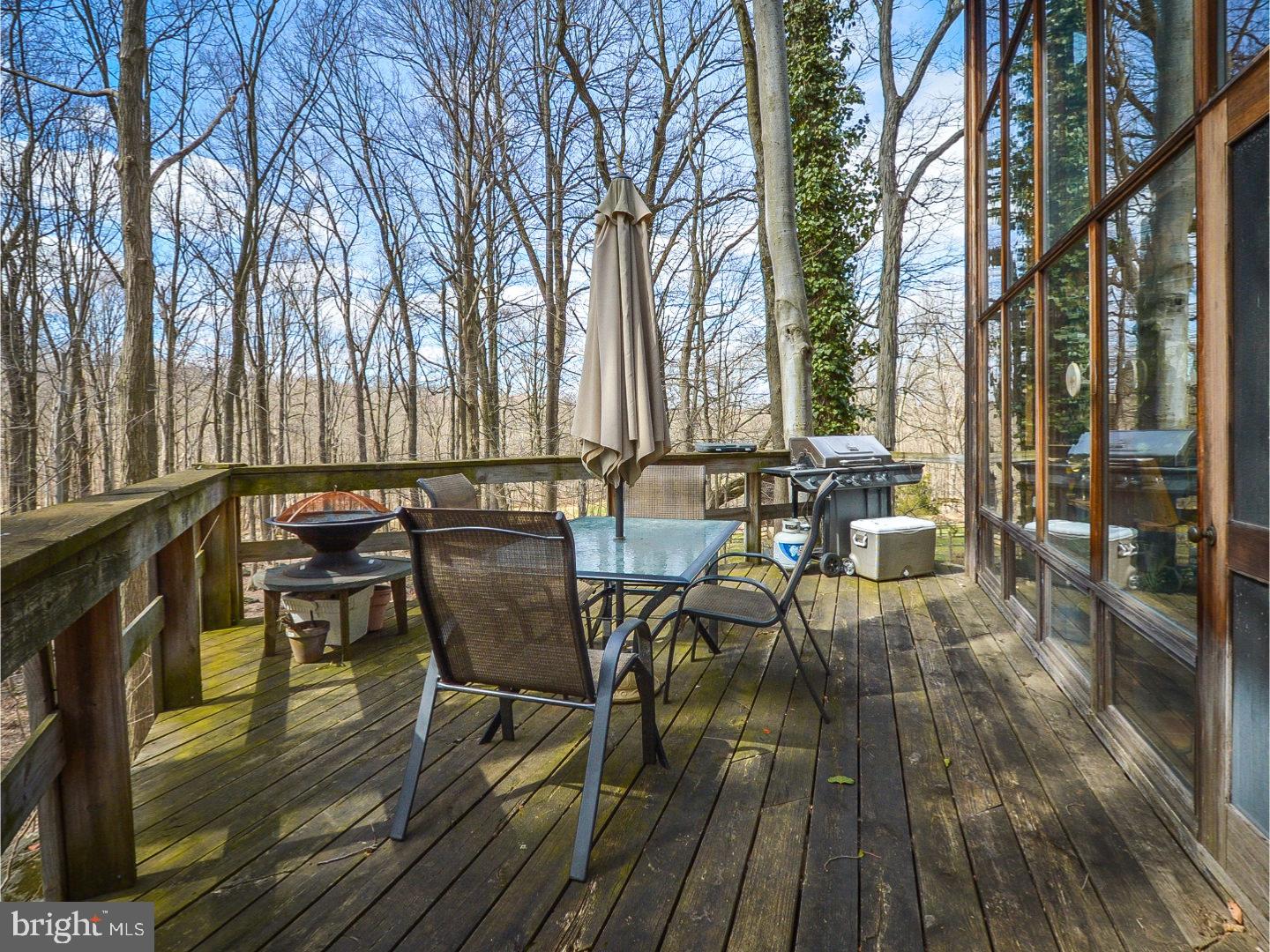 1140 Skymount Road Green Lane, PA 18054 - Photo 10 of 25 Deck