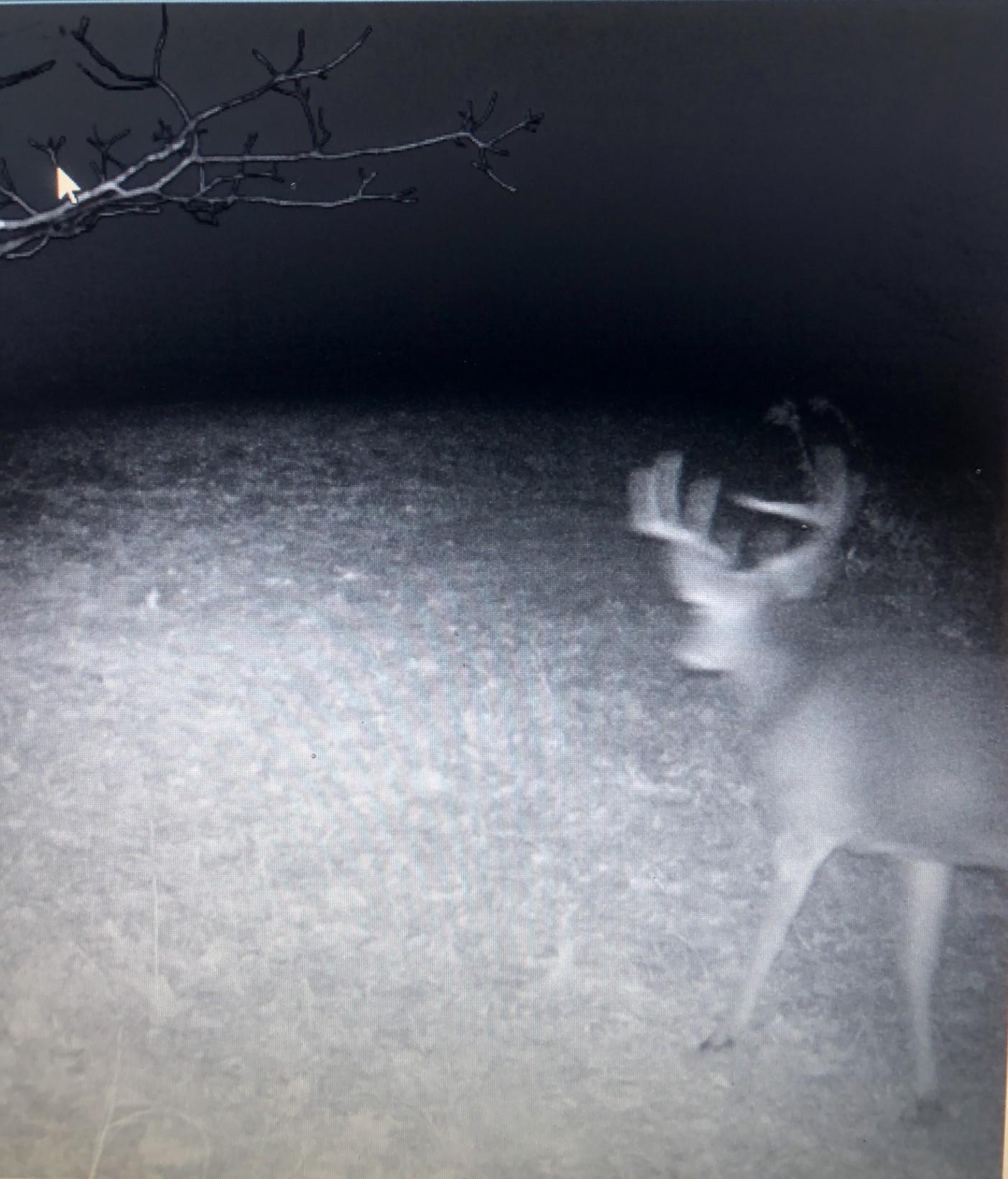 Xxx McGrew Road Isle, MN 56342 - Photo 41 of 92