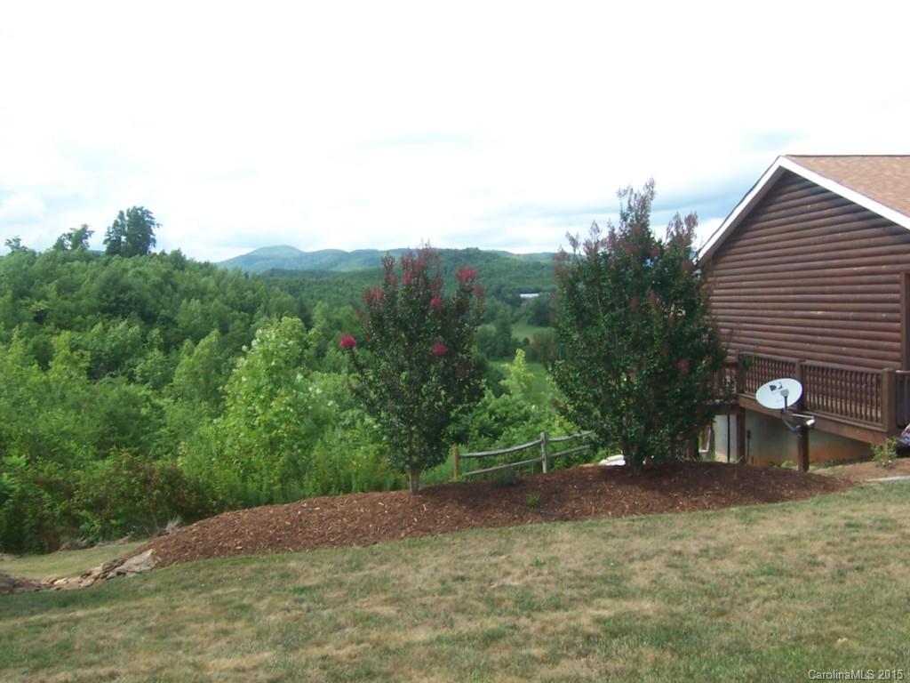 1148 Golden Valley Church Road Bostic, NC 28018 - Photo 3 of 24 Gallery Image 3